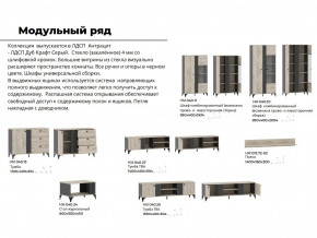 Гостиная Отис Дуб Крафт Серый/Антрацит в Ишиме - ishim.magazinmebel.ru | фото - изображение 5