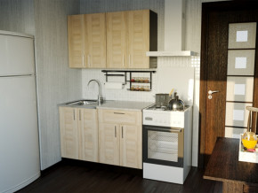 Кухонный гарнитур Ника лайт 1200 мм в Ишиме - ishim.magazinmebel.ru | фото - изображение 1