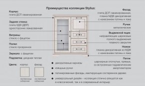 Прихожая модульная Стилиус в Ишиме - ishim.magazinmebel.ru | фото - изображение 2