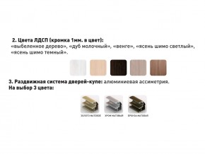 Шкаф-купе Акцент-Сим Д 1200-600 шимо тёмный в Ишиме - ishim.magazinmebel.ru | фото - изображение 3