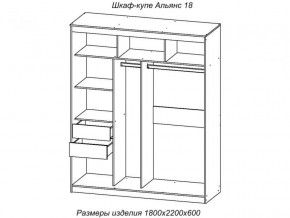 Шкаф-купе Альянс 18 комплект зеркал №4 в Ишиме - ishim.magazinmebel.ru | фото - изображение 2